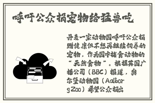 孟若羽高清视频大全在线观看